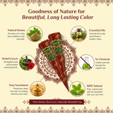 Neeta Henna Paste Reddish Brown – Pack of 12 Cones